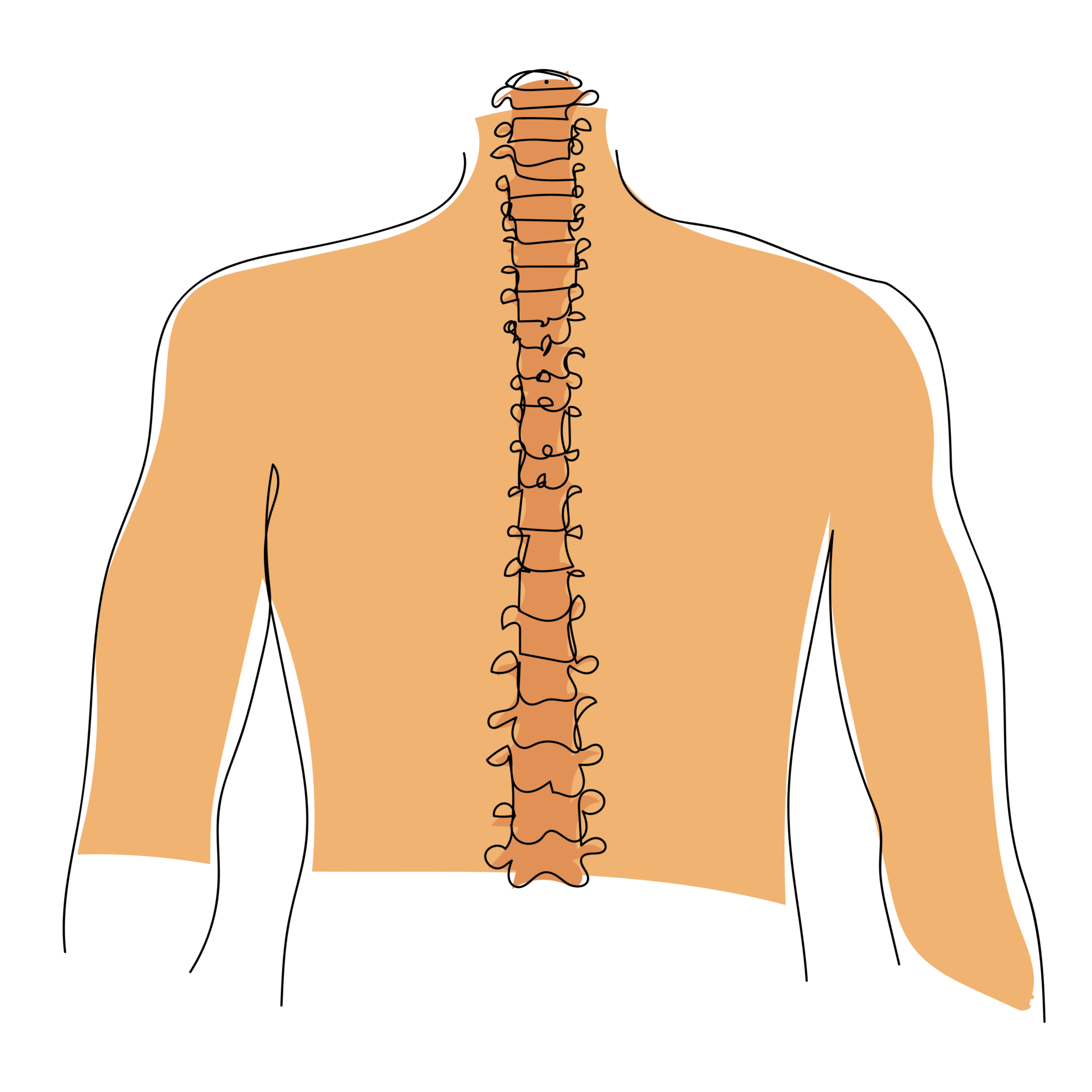 Wirbelsäule Krankheitsbilder und Behandlung